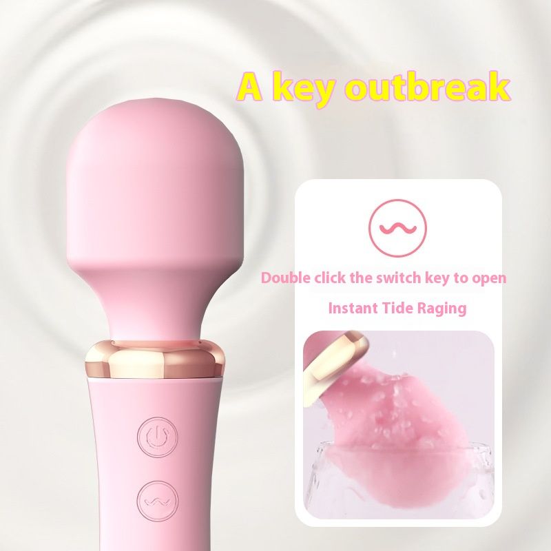 Laile women's toys, heating and vibrating instant trendy AV fairy sticks, masturbators, adult sex products_voghion.com