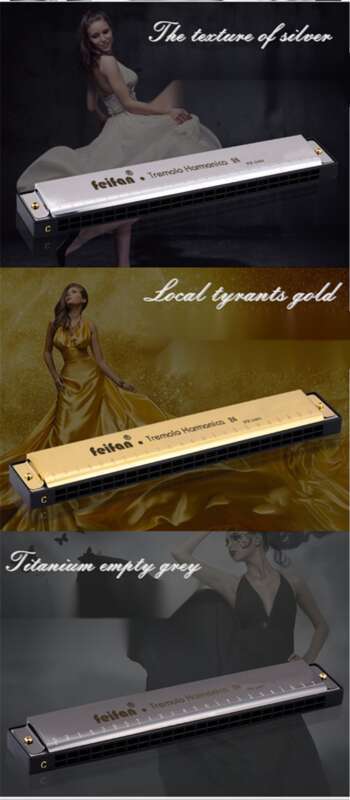 Harmonica For Adults, Children, Beginners, Advanced Self-study, Professional Antique Style, 24 Hole Polyphonic, C-tone,_voghion.com