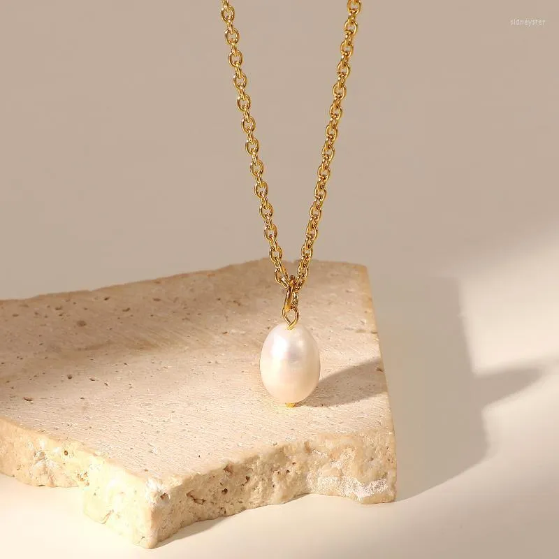 Colliers à pendentif élégants en perles simples, collier en acier inoxydable, chaîne de clavicule plaquée or pour femmes_voghion.com