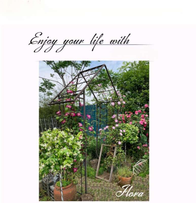 [European Pastoral Style] Iron Bird Cage Shape, Climbing Vine Plants, Floral Arrangement, Iron Wire Lotus Green Ivy,_voghion.com