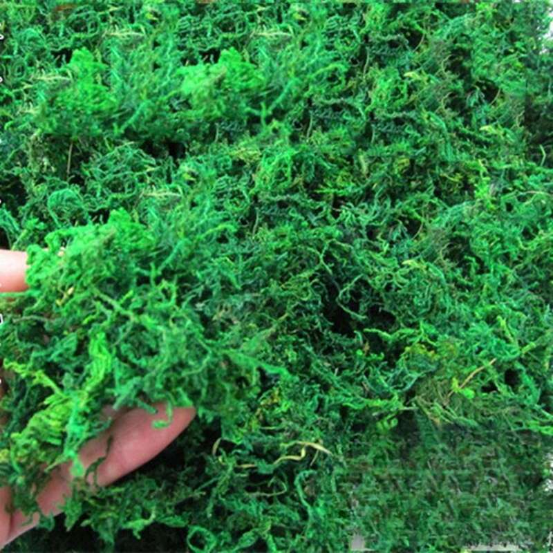 【 1190 de răscumpărări 】 Mușchi uscat simulat, Bonsai, Plantarea plantelor verzi, Ghivece, Decorarea pavajului, Accesorii florale,_voghion.com
