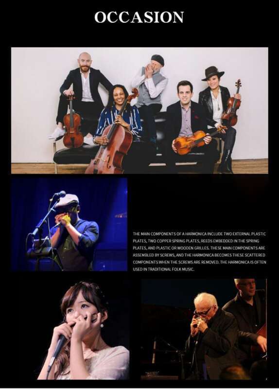 Harmonica For Adults, Children, Beginners, Advanced Self-study, Professional Antique Style, 24 Hole Polyphonic, C-tone,_voghion.com