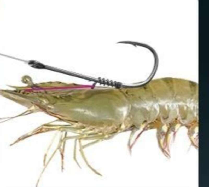 Shrimp Back Spring Hanging, Live Hook, Floating Shrimp Fishing Set, Tied Up, Finished Product, Lu Ya Rock Sea Fishing,_voghion.com