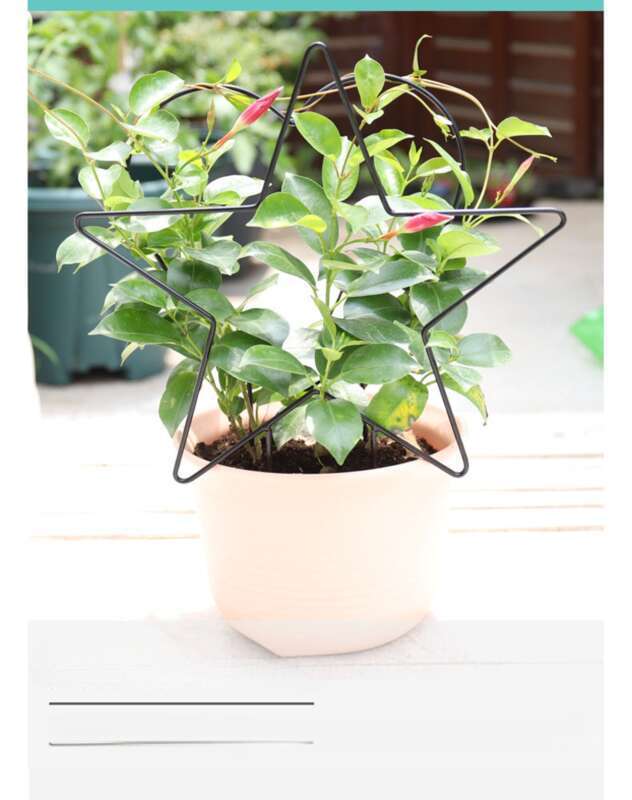 Sculptură din fier, viță de cățărat, suport anti-cădere, ghiveci pentru broaște țestoase de munte, cadru pentru bonsai cu plante verzi pentru balcon, strălucire la zăpadă_voghion.com