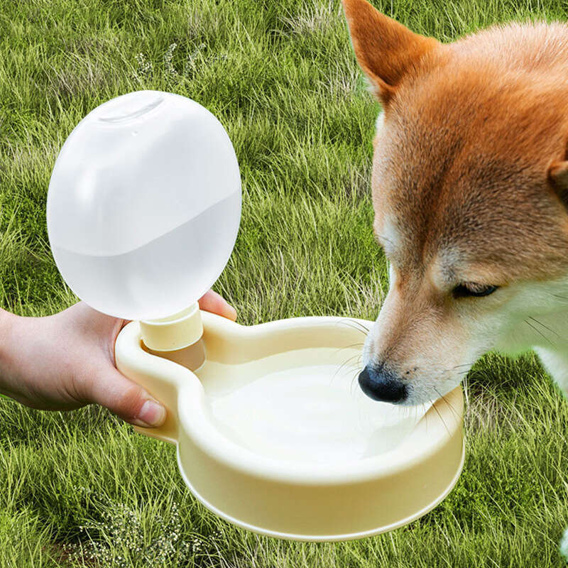 Yurta amarilla para beber al aire libre, hervidor de agua, taza, portátil, con capacidad varias veces mayor, suministros para mascotas, perros y gatos._voghion.com