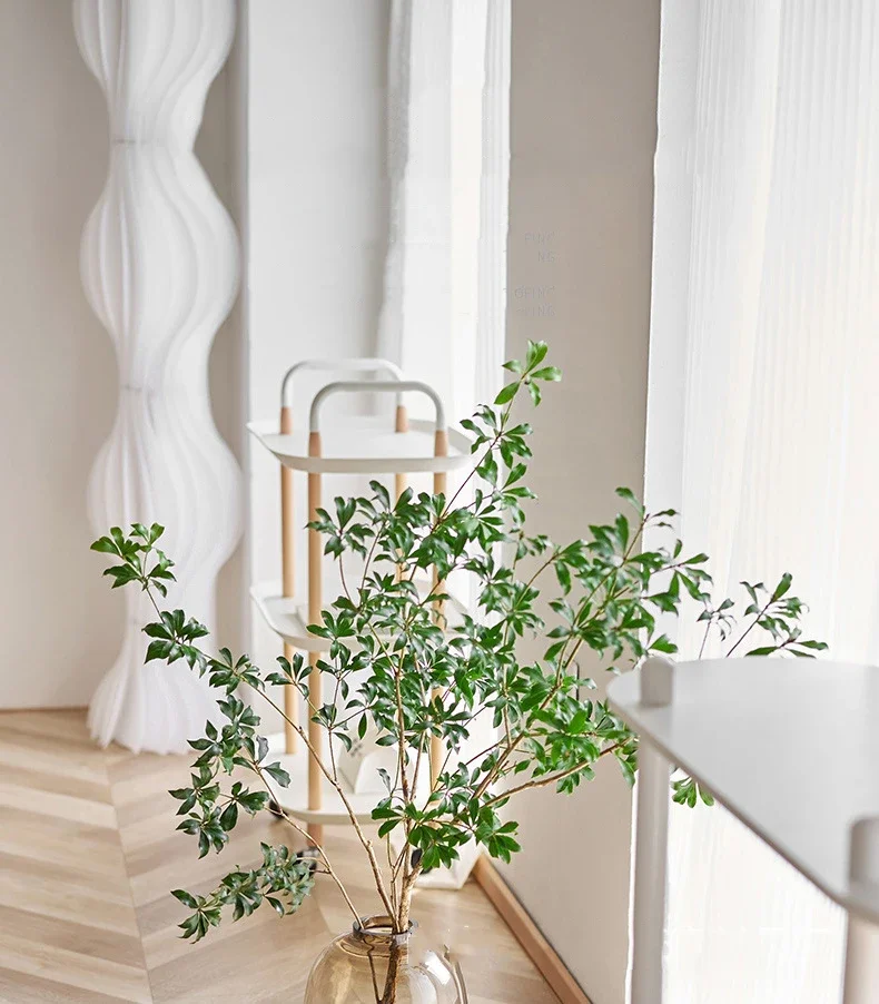 Large Capacity Clear Glass Hydroponic Vase For Home Decor_voghion.com