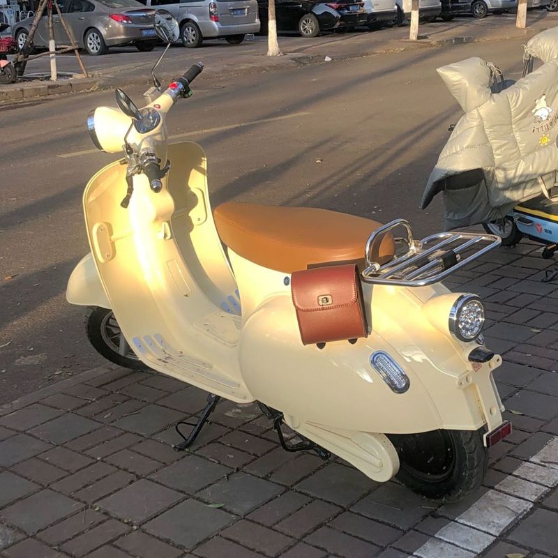 Sykkel, Elsykkel, Universell dekorasjon, Læroppheng, Hode, Bilhåndtak, Salveske_voghion.com