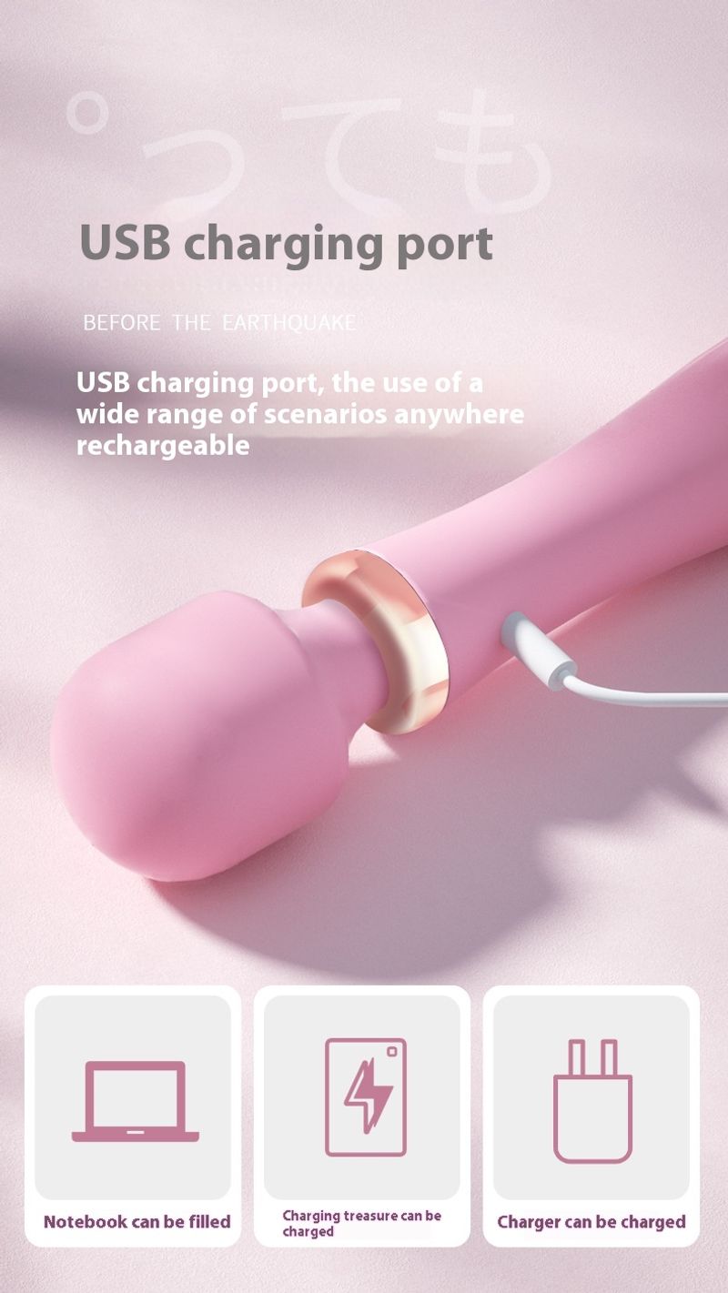 Laile women's toys, heating and vibrating instant trendy AV fairy sticks, masturbators, adult sex products_voghion.com