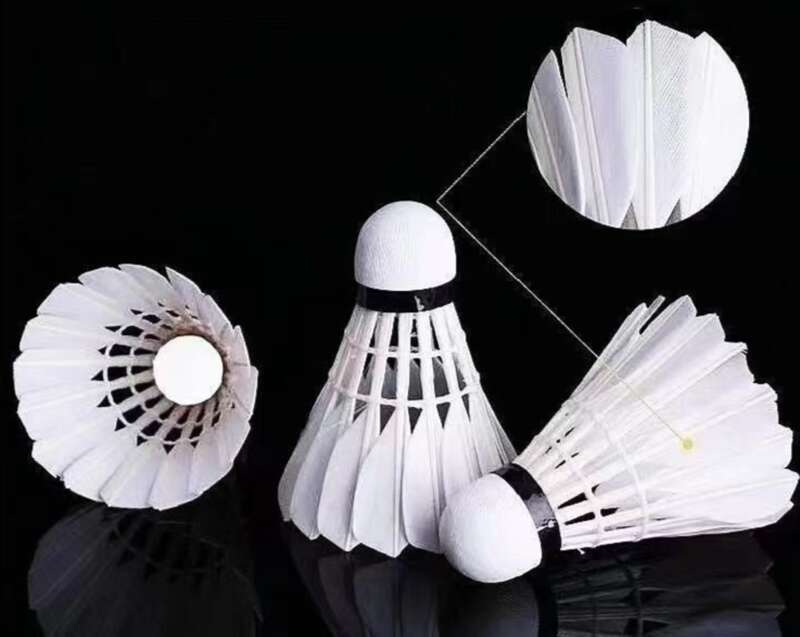 Flight Stability Goose Feather Wind Proof Entertainment Indoor Decoration Outdoor Competition Training Ball Adult_voghion.com