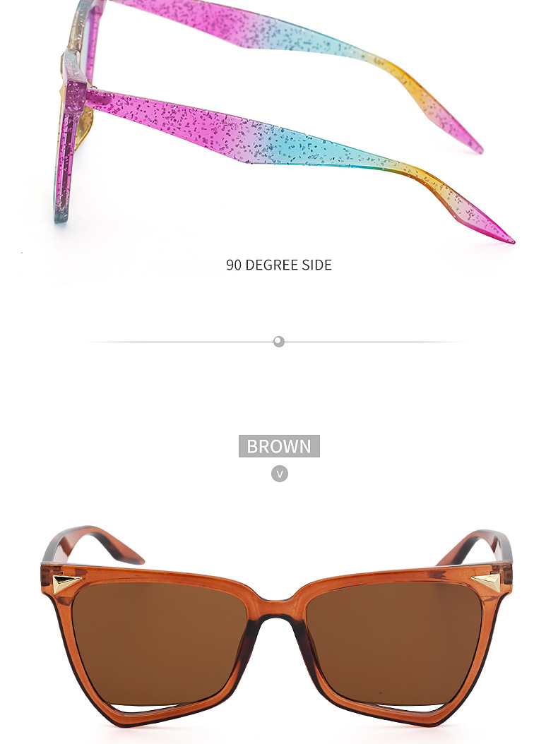 Irregular Sunglasses For Women Fashion Cat Eye Large Frame Sunglasses For Women Sunglasses_voghion.com