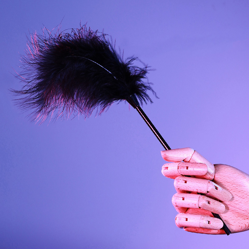 Sexy Flirten SM Zehnteiliges Set Gebündelte Handschellen Sexspielzeug Ausgefallene Taming Produkte für Erwachsene_voghion.com