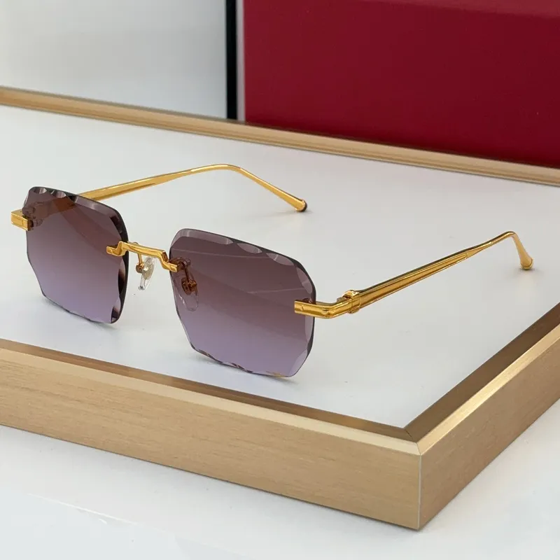 read designer womens women sun glasses Fashion CT0460S outdoor Timeless Classic Style Eyewear Retro Unisex Goggles_voghion.com