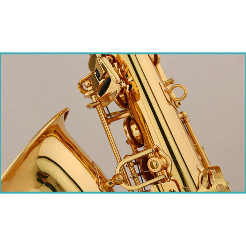 Jinbao JBAS-601 Altsaxophon auf E-Taste herabgestuft Schulband Professionelle Leistung Blechblasinstrument-Bewertungsprüfung_voghion.com