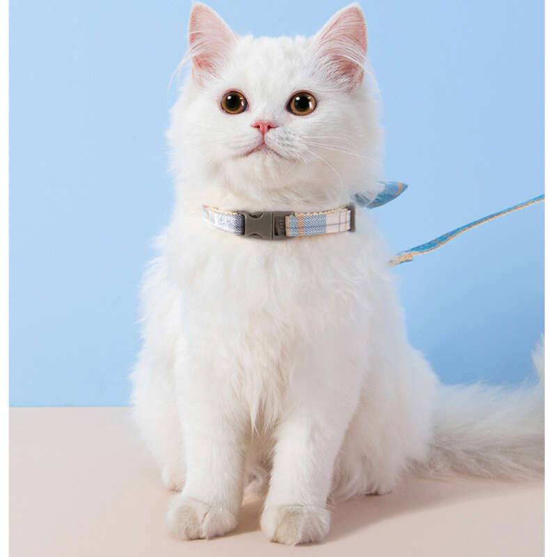 Cane I-shaped JK Cats Going Out Vest Trazione per cani di piccola e media taglia Corda per cani da passeggio Forniture per animali domestici_voghion.com