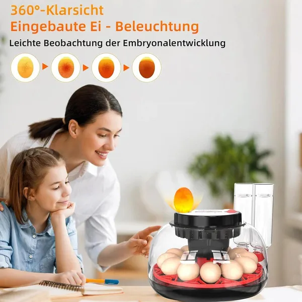 $12 Digital Egg Incubator With Automatic Hatching Function_voghion.com