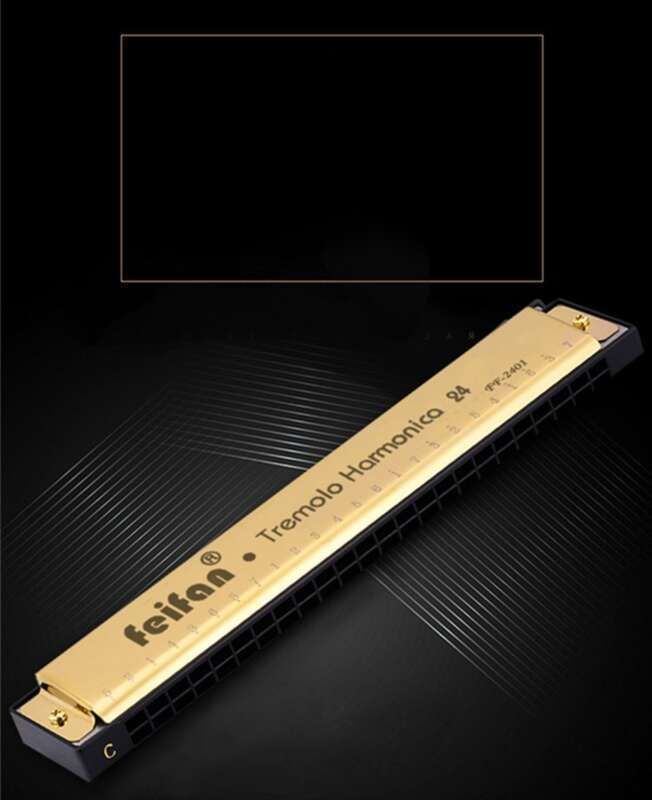 Harmonica For Adults, Children, Beginners, Advanced Self-study, Professional Antique Style, 24 Hole Polyphonic, C-tone,_voghion.com