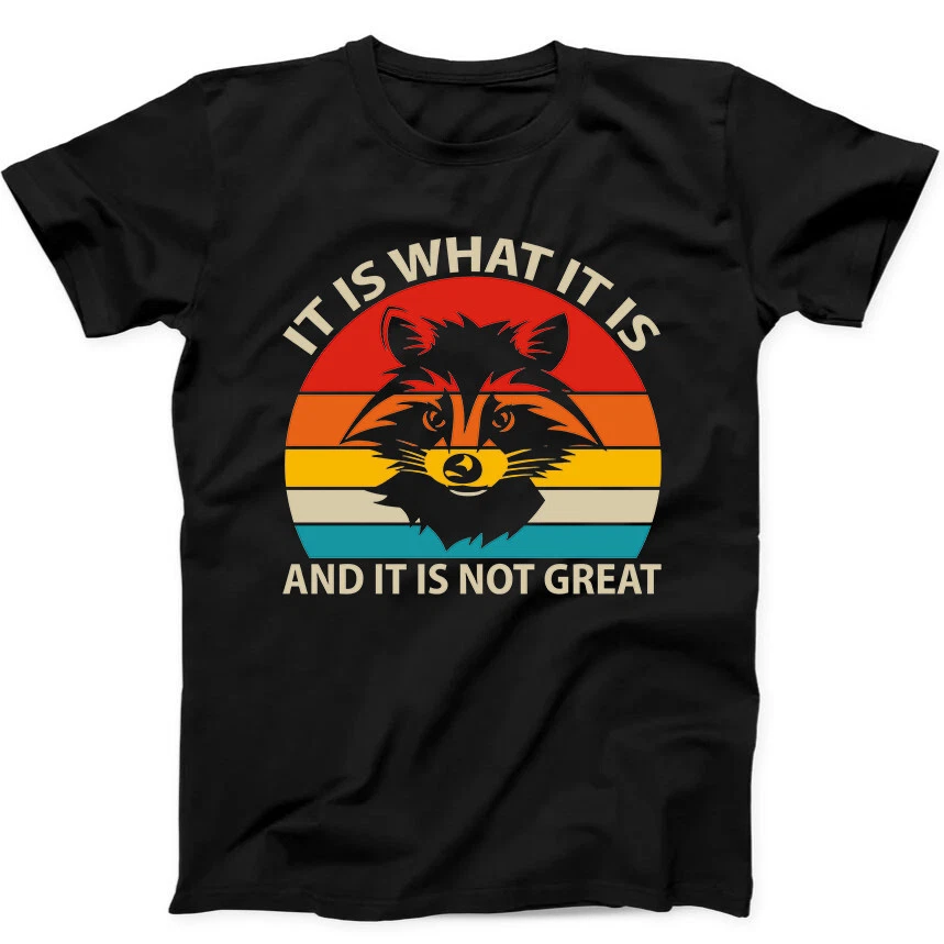 Es ist, wie es ist, und es ist nicht toll – Lustiges Waschbär-T-Shirt, schwarzes Geschenk, Herren- und Damen-T-Shirts, Top 243_voghion.com