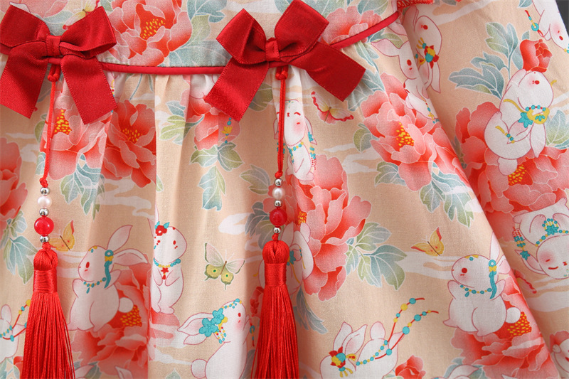 Autumn Newborn Girl Dress Rabbit Print Long Sleeved Dress Chinese Hanfu Style Baby Clothes_voghion.com
