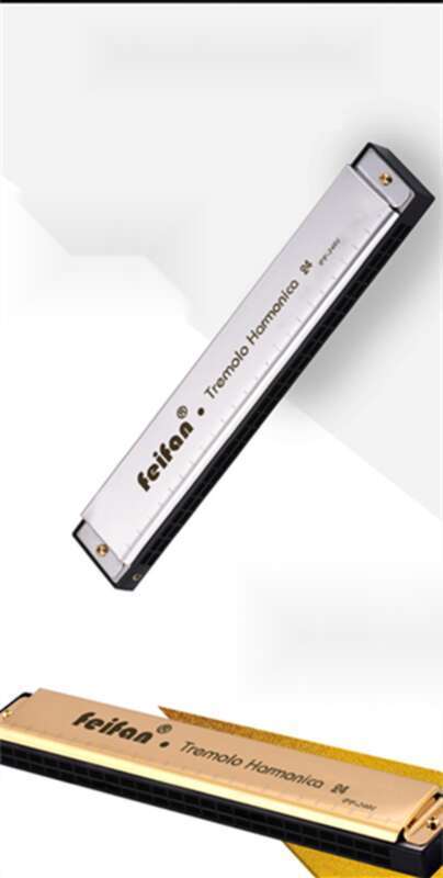 Harmonica For Adults, Children, Beginners, Advanced Self-study, Professional Antique Style, 24 Hole Polyphonic, C-tone,_voghion.com