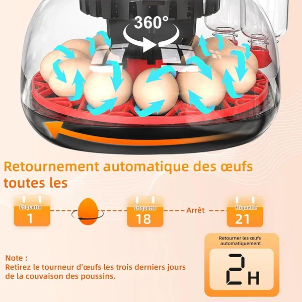 $12 Digital Egg Incubator With Automatic Hatching Function_voghion.com