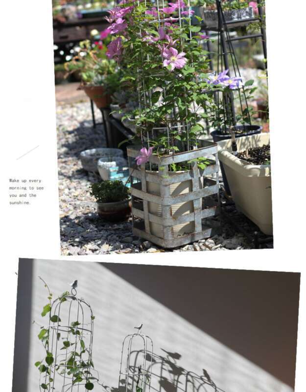 [European Pastoral Style] Iron Bird Cage Shape, Climbing Vine Plants, Floral Arrangement, Iron Wire Lotus Green Ivy,_voghion.com