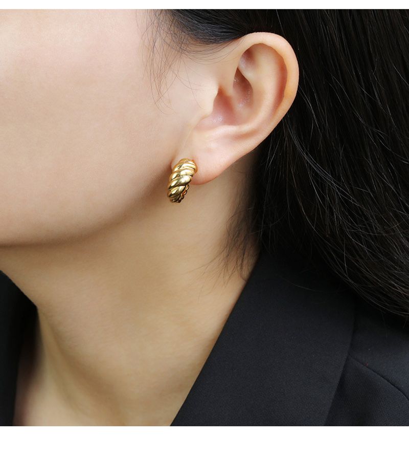 Sterg Sier Plated K Gold Simple Temperament Twist Earrings Women's New Tide Ins_voghion.com