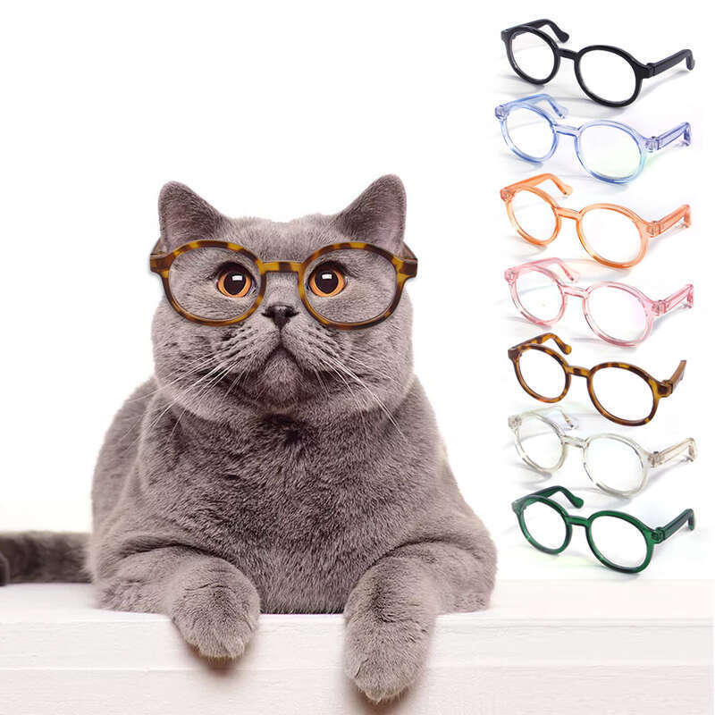 Pet Glasses, Dog, Teddy Personality, Funny Halloween Accessories, Plastic Transparent Cat Glasses_voghion.com