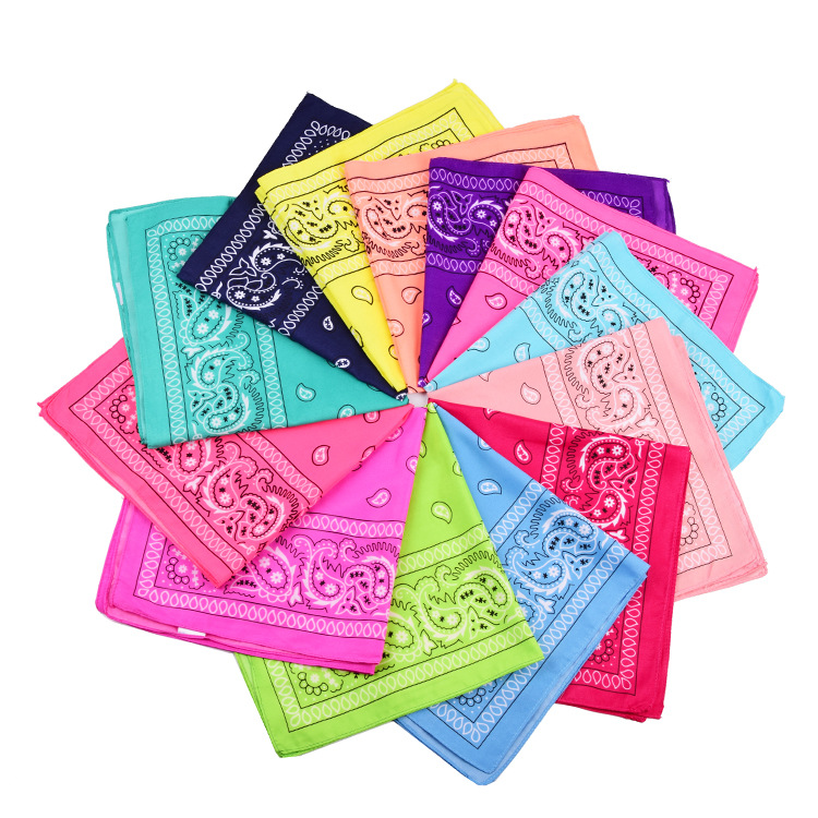 Unisex Polyester 54x54 cashew nut flower amoeba square Hip Hop hop riding bandana sunflower seed flower handkerchief