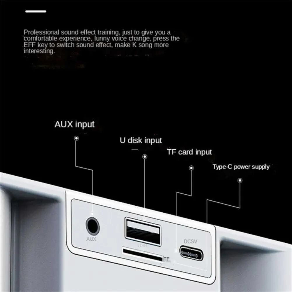 Karaoke Hine With Dual Microphones Portable Bluetooth Speaker Studio Subwoofer AUX TF Card U Disk Player Home Family_voghion.com