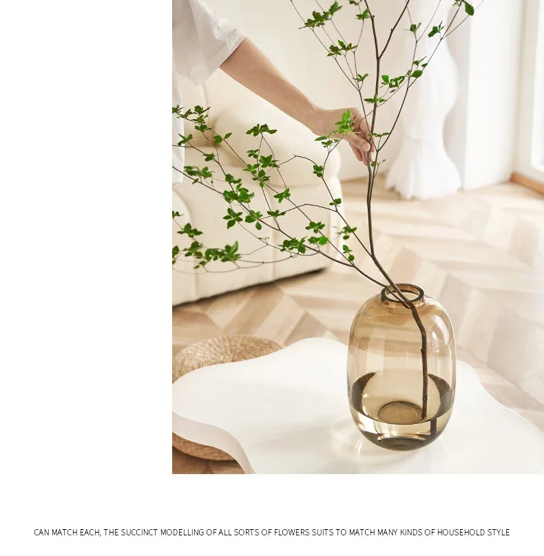 Large Capacity Clear Glass Hydroponic Vase For Home Decor_voghion.com