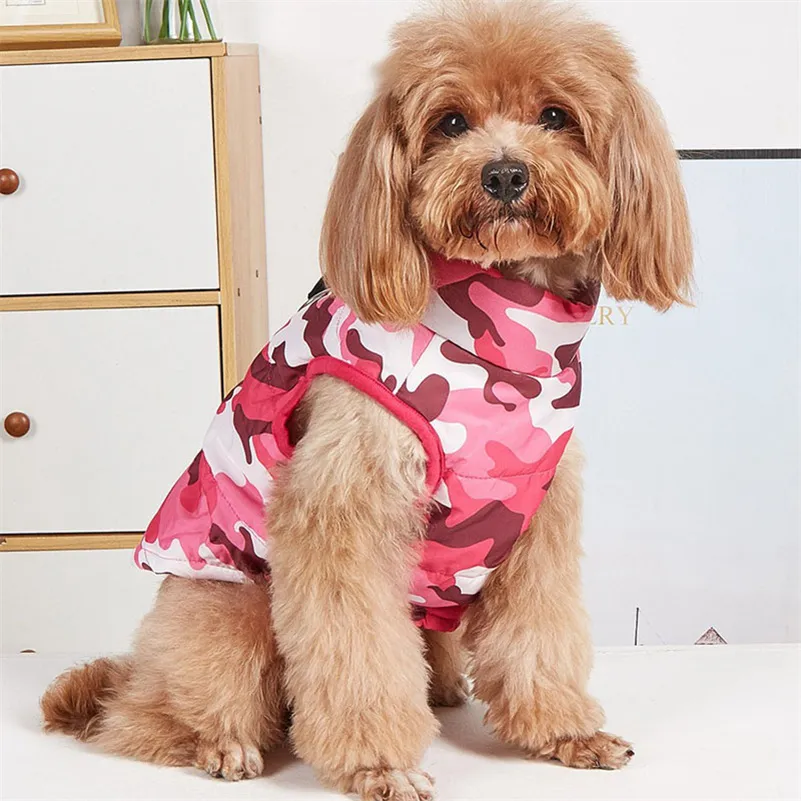 Wanterkleeder Franséisch Bulldog Welpen Waarm Wanddicht Jackett Kleng Mëttelgrouss Hond Reflektéierend Mantel Chihuahua Hausdéieroutfits_voghion.com