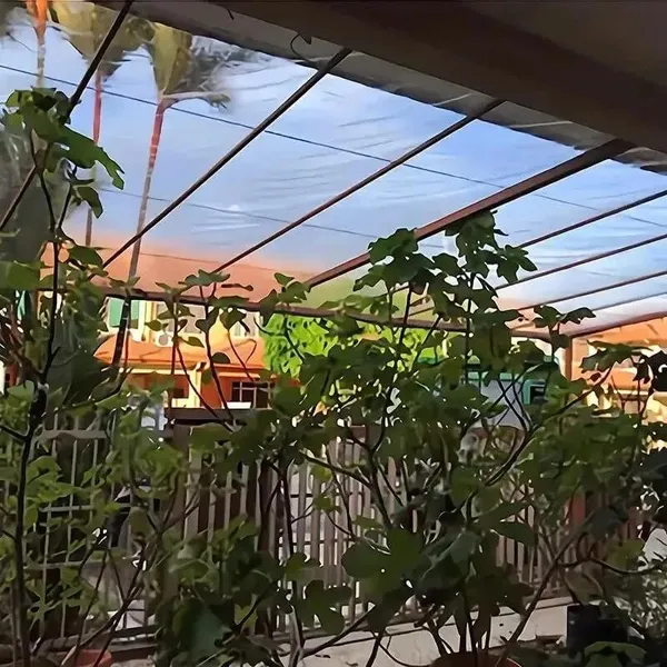 Transparent Canopy Fabric For Garden, Durable Outdoor Protection_voghion.com