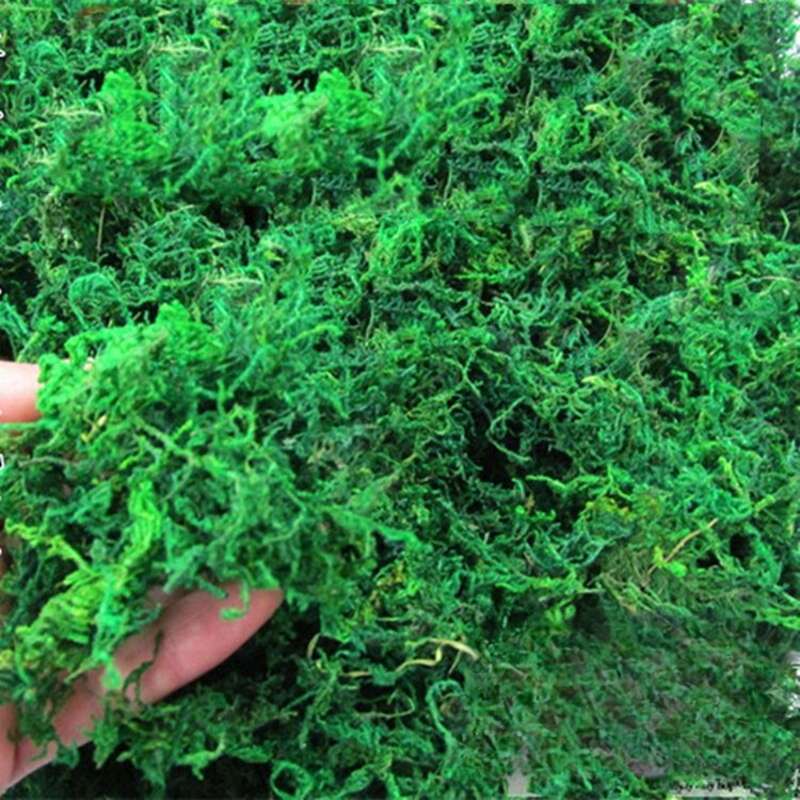 【 1190 de răscumpărări 】 Mușchi uscat simulat, Bonsai, Plantarea plantelor verzi, Ghivece, Decorarea pavajului, Accesorii florale,_voghion.com