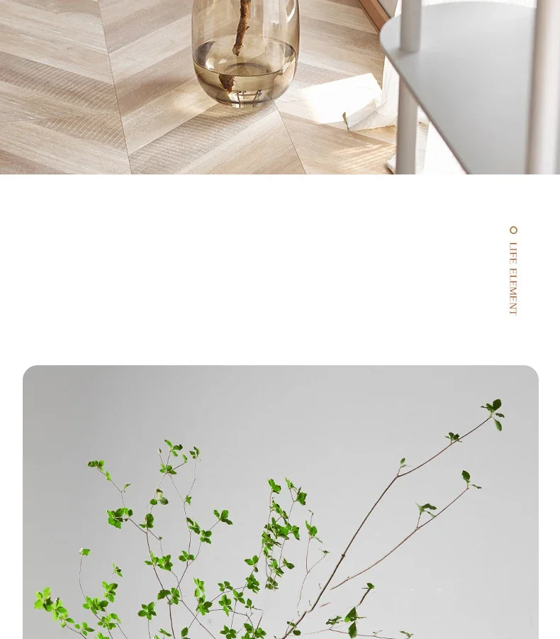 Large Capacity Clear Glass Hydroponic Vase For Home Decor_voghion.com