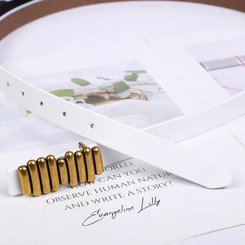 2022 Damen Designer Breite 2,3 CM Rindsleder Schlank Klassischer Damen Taillengürtel Mädchen Kleid Gürtel_voghion.com