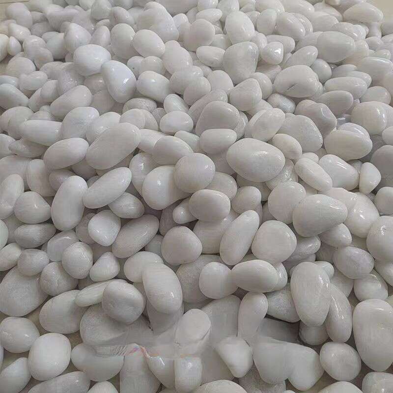 Maceta hidropónica de guijarros blancos puros naturales pulidos para balcón, jardín y paisajismo._voghion.com