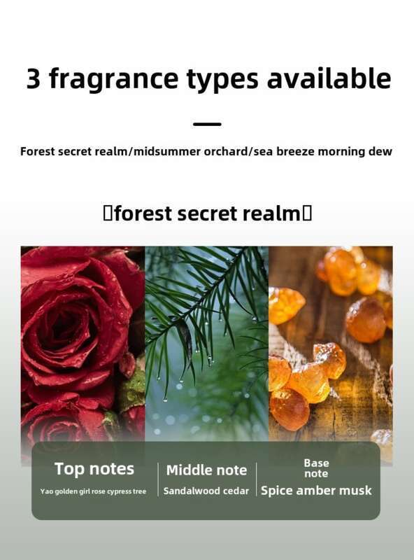 【Hoher Luxus】 Kleine schwarze Flasche Aromatherapie Pflanzenextraktion Langanhaltende Geruchsentfernung Duft Auto Ornament_voghion.com