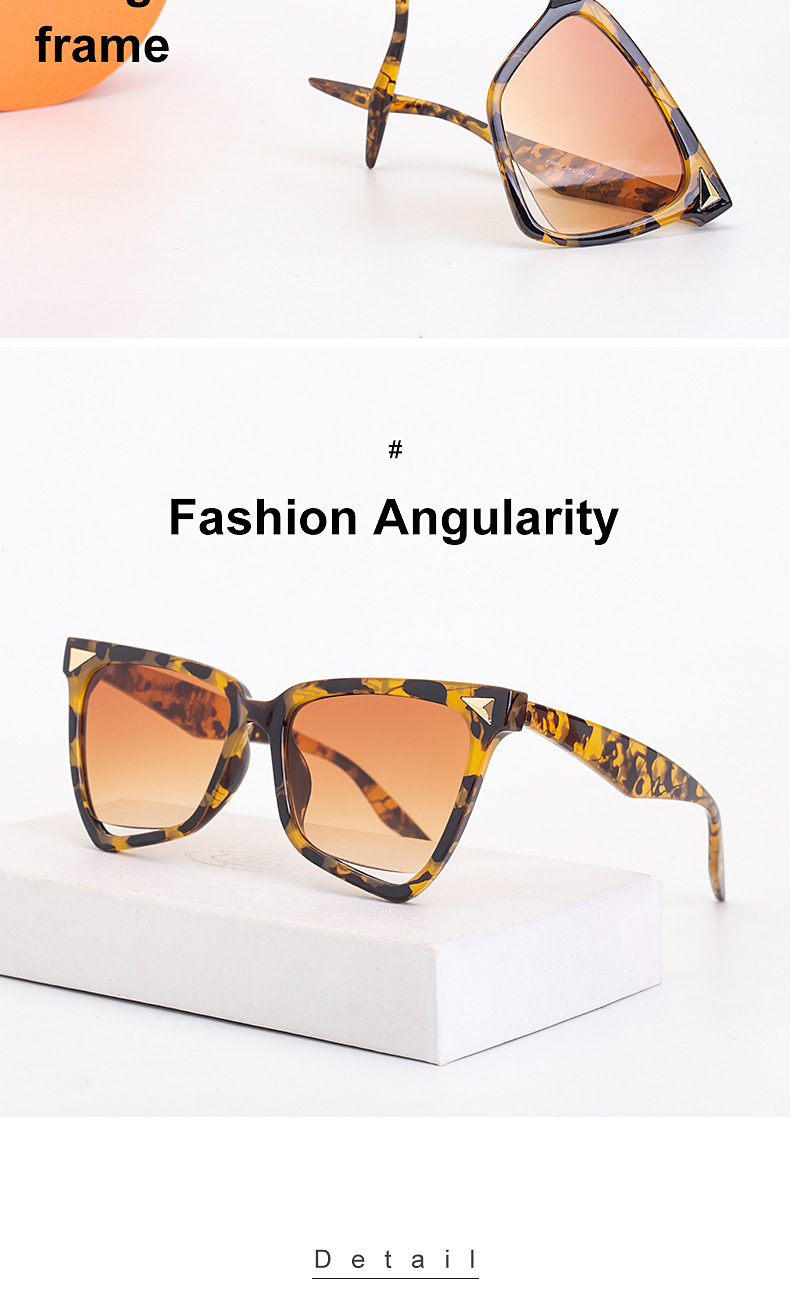 Irregular Sunglasses For Women Fashion Cat Eye Large Frame Sunglasses For Women Sunglasses_voghion.com