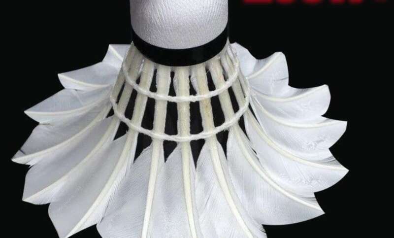 [Peste 3500 de persoane într-o săptămână] Zhejiang Yannai joacă badminton, 12 seturi de capete de minge din spumă + bucăți de pene de rață de înaltă calitate pentru..._voghion.com