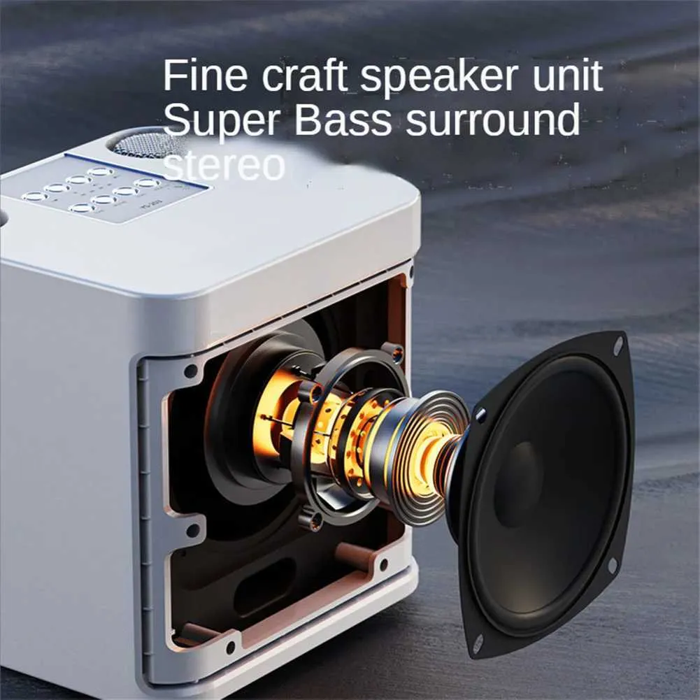 Karaoke Hine With Dual Microphones Portable Bluetooth Speaker Studio Subwoofer AUX TF Card U Disk Player Home Family_voghion.com
