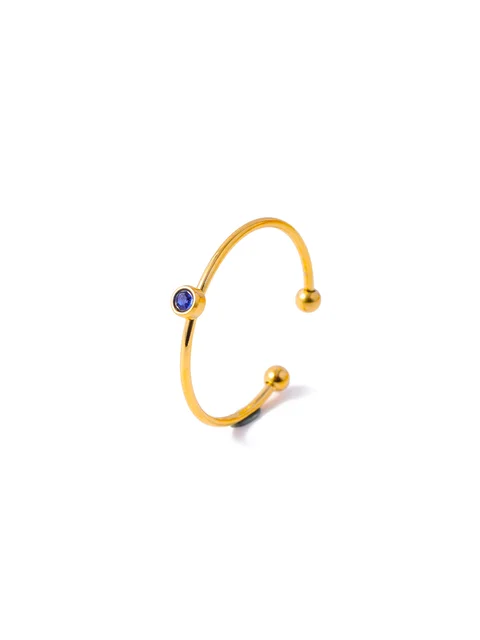 Hot sales CARLIDANA Fashion 12 Birthstone Women's Stainless Steel Opening Adjustable Ring Gold Plated Simple Zircon Elegant_voghion.com