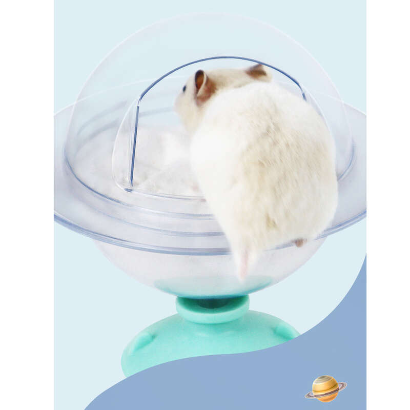 Bagno per piccoli animali domestici, esclusivo per criceti, vasca da bagno trasparente anti-schizzi, orsetto dorato, sabbia per urina, WC a doppio uso_voghion.com