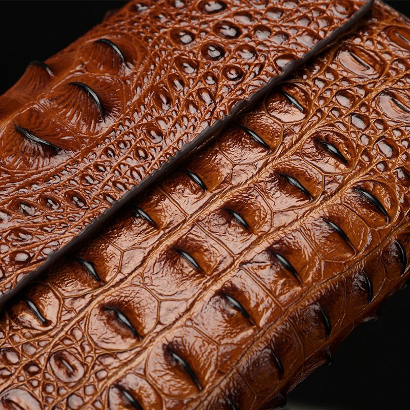2024 neue Herren-Clutch Krokodilmuster, Clutch mit Doppelreißverschluss, Handtasche, doppellagige Handytasche,_voghion.com