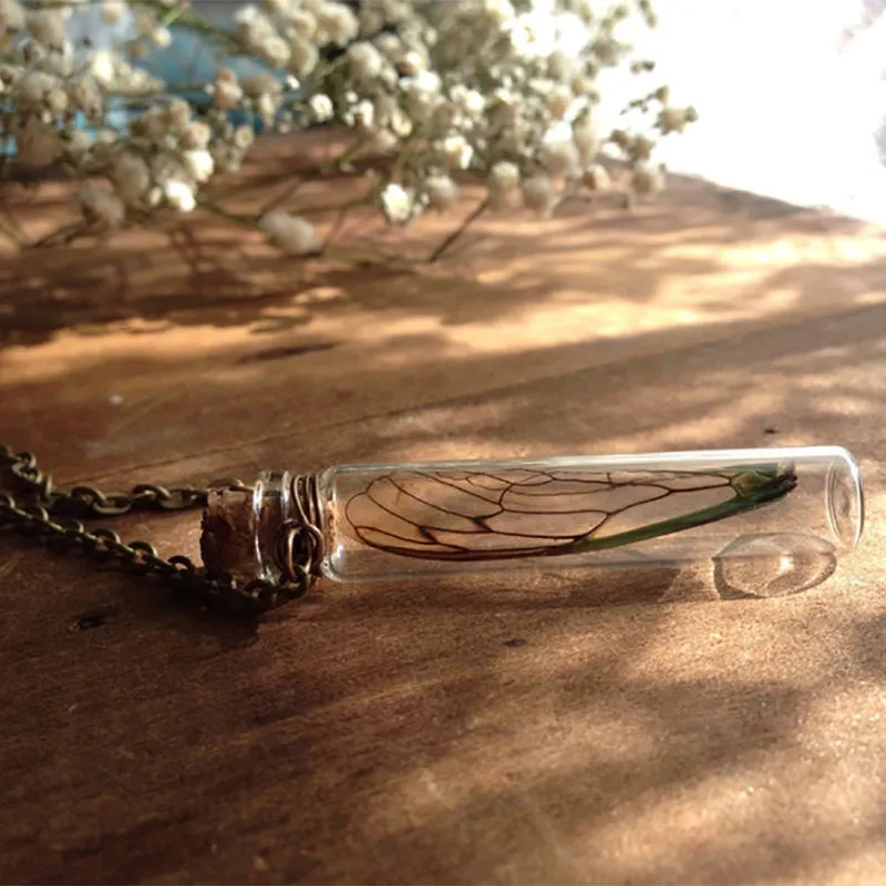Chains Real Cicada Specimen Wing Necklace Y2k Grunge Goblin Core Cottage Forest Witchy Witch Celestial_voghion.com