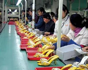 Heels Sandalen Designer-Schuhe Cleo Crystal Nieten Snake Strass Knöchel Wraparound Abendschuh 9,5 cm High Heel Rhie Rom_voghion.com