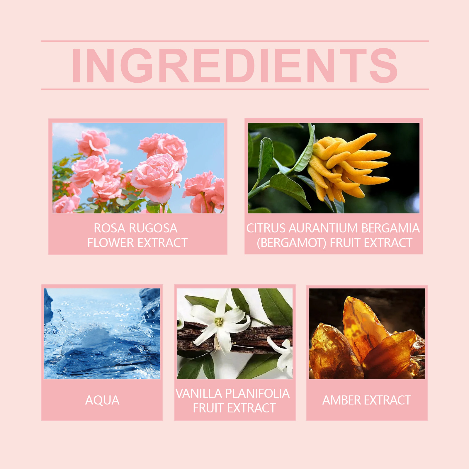 Roxelis Rolling Eau De Toilette Flower Scent Long Lasting Fresh_voghion.com