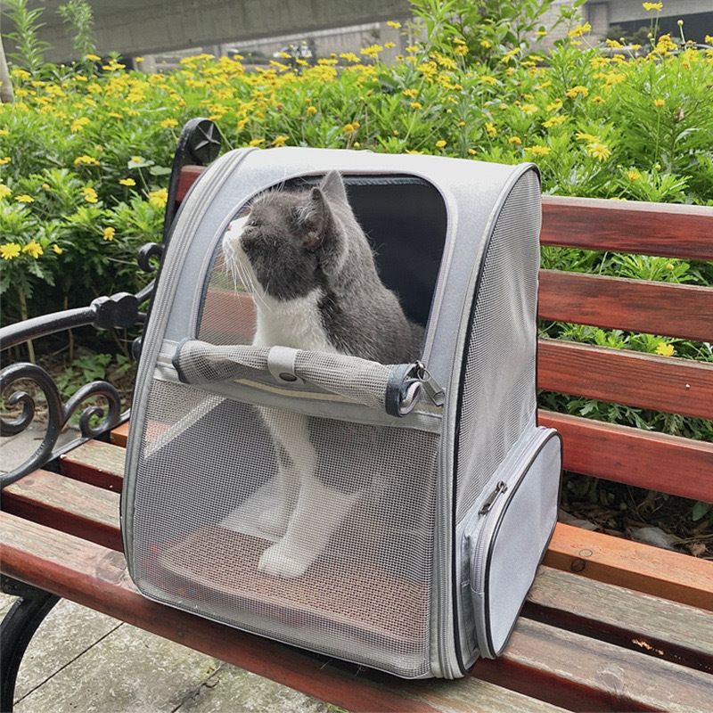 Katzentasche, Hundetasche, Outdoor-Tasche, tragbare Haustiertasche, Reppu, Leicht, Faltbar, Abnehmbar, Große_voghion.com