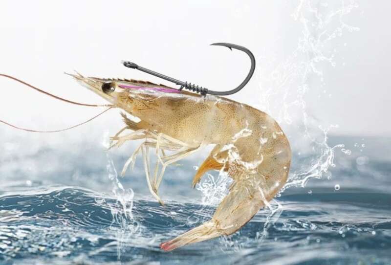 Shrimp Back Spring Hanging, Live Hook, Floating Shrimp Fishing Set, Tied Up, Finished Product, Lu Ya Rock Sea Fishing,_voghion.com