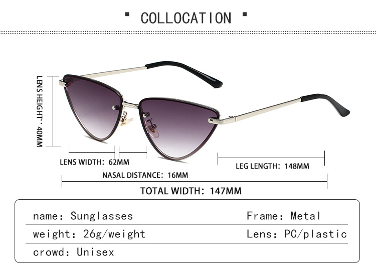 2023 Cat Eye Metal Instagram Street Photo Trendy Sunglasses_voghion.com