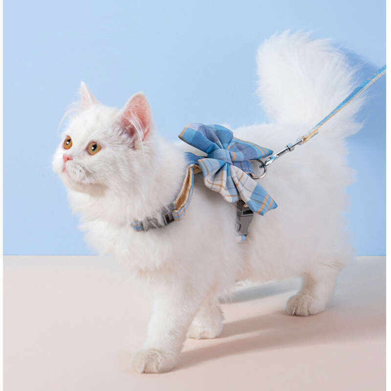 Cane I-shaped JK Cats Going Out Vest Trazione per cani di piccola e media taglia Corda per cani da passeggio Forniture per animali domestici_voghion.com